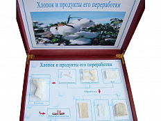 Коллекция "Хлопок и продукты его переработки"