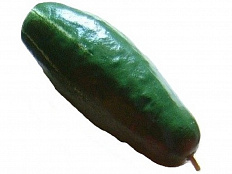 Муляж Огурец