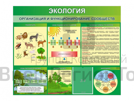 Сденд Экология. Организация и функционирование сообществ.