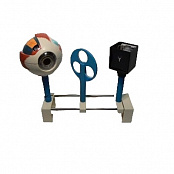 Модель "Зрение" (электрическая)