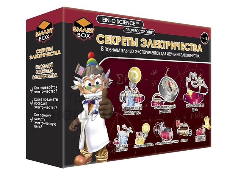 Набор Профессор Эйн: Секреты электричества.