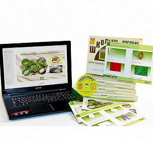 Коллекция натурально-интерактивная Шелк и продукты его переработки