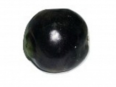 Муляж Редька