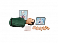 Тренажер Максим III (торс) сердечно-легочной и мозговой реанимации