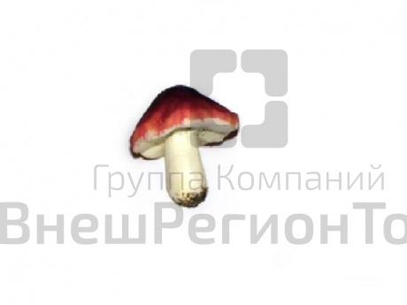 Муляж Грибы сыроежка.