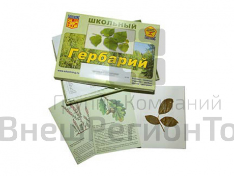 Гербарий "Дикорастущие растения" (30 видов, с иллюстрациями).