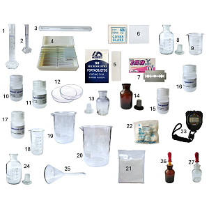 Кейс биологии «Клетка», Часть 2 (ПОЛ-TE3202)