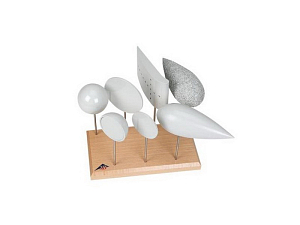 Набор модельных тел для аэродинамики, 7 шт.