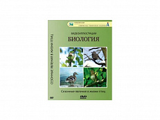 DVD "Сезонные явления в жизни птиц"