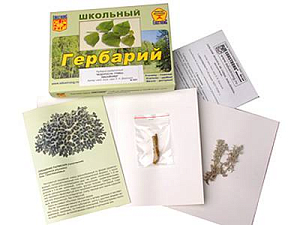 Гербарий «Водоросли. Грибы. Лишайники» — раздаточный, 9 листов