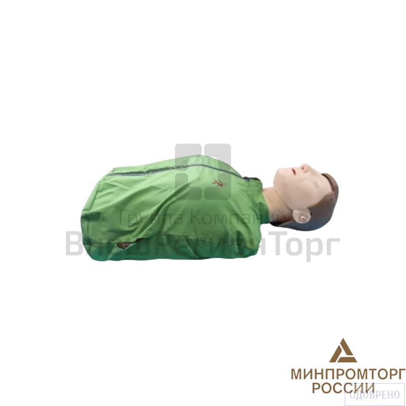 Манекен (торс) для СЛР.