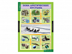 Таблицы "Окружающий мир 4 класс"