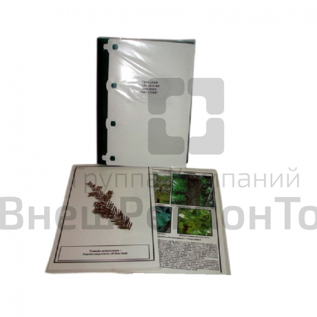 Гербарий "Эволюция высших растений" (лам.).