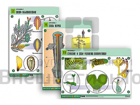 Таблицы по биологии Ботаника-1, 12 шт..