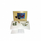 Гербарий «Деревья и кустарники»