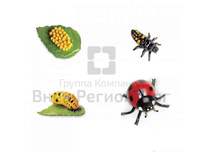 Фигурки: Жизненный цикл божьей коровки 4 шт..