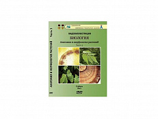 DVD "Биология. Анатомия и морфология растений" 3 часть