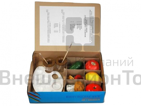 Набор муляжей для рисования с палитрой.