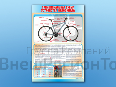 Стенд по ПДД Принципиальная схема устройства велосипеда, 69х100 см.