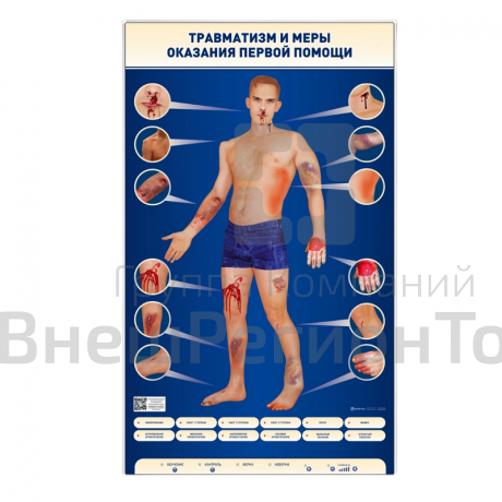 Электрифицированный стенд-тренажер Травматизм и меры оказания первой помощи.