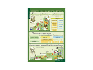 Таблицы демонстрационные: Эволюционное учение, 68×98 см