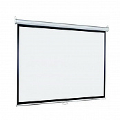 Экран Lumien Eco Picture LEP-100109, 203х203 см, 1:1, настенно-потолочный