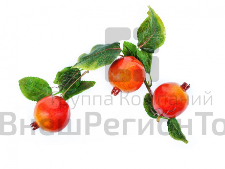 Ветка муляжей Гранат.