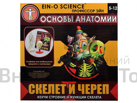 Набор Профессор Эйн: Скелет и череп.