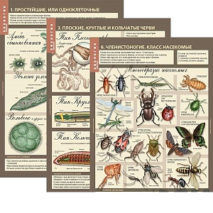Биология 7 класс — таблицы «Животные», 12 плакатов