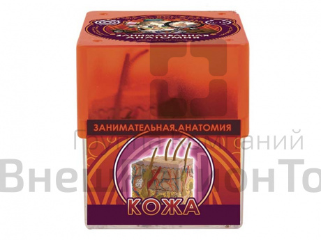 Набор Профессор Эйн: Кожа.