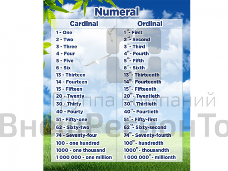 Стенд Английский язык. Числительные.