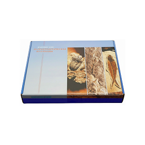 Палеонтологическая коллекция — 23 гипсовых образца