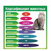 Стенд "Классификация животных"