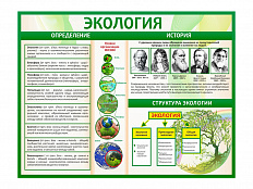 Стенд Экология 130х100 см