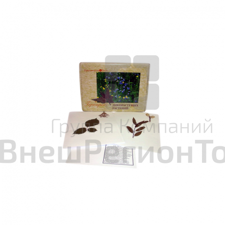 Гербарий "Дикорастущие растения" (28 видов).