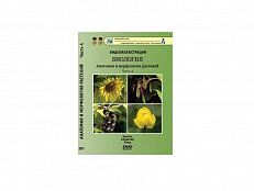 DVD "Биология. Анатомия и морфология растений" 4 часть