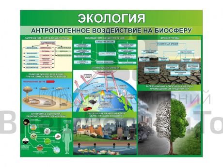 Стенд Экология. Антропогенное воздействие на биосферу.