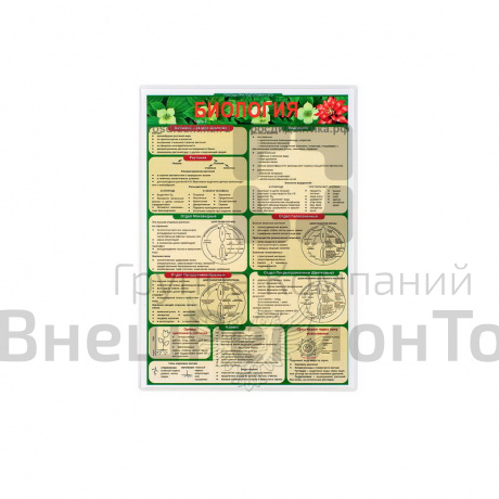 Комплект раздаточных таблиц - по биологии.