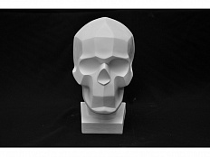 Гипсовая модель Череп человека (обрубовка)