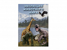 DVD "Эволюция животного мира" (учебный фильм)