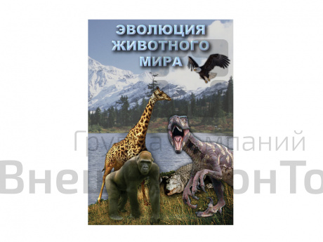 DVD "Эволюция животного мира" (учебный фильм).
