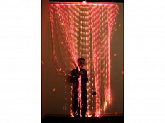 Мерцающие занавеси 120 нитей 1200х2000 мм