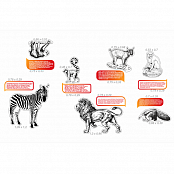 Комплект для оформления кабинета биологии №1