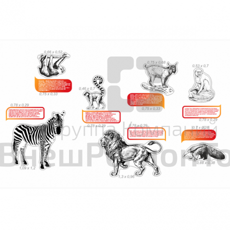 Комплект для оформления кабинета биологии №1.