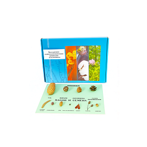 Шишки, плоды и семена деревьев и кустарников (ПРШ-041)