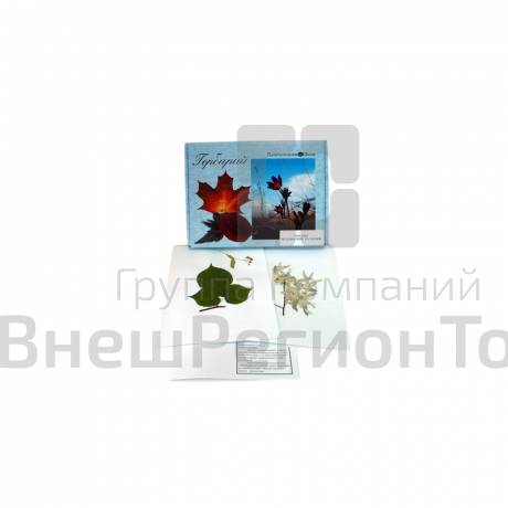 Гербарий "Медоносные растения" (24 вида).