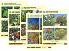 Гербарий фотографический по географии, 32 шт.