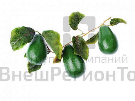 Ветка муляжей Авокадо.