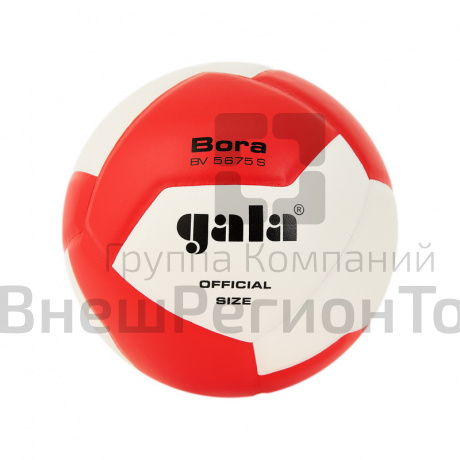 Мяч волейбольный GALA Bora 12, р. 5.