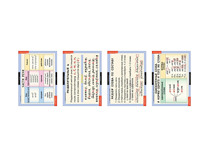 Русский язык 2 класс (таблицы 4 шт. 68х98 см)